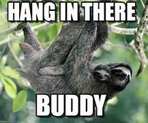 Image result for Hang in There Nursing Meme