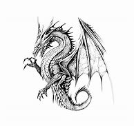 Image result for Dragon Fairies