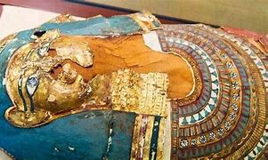 Image result for Mummy in Museum