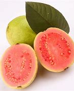 Image result for guayaba