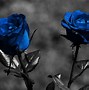 Image result for Dark Blue Floral Wallpaper