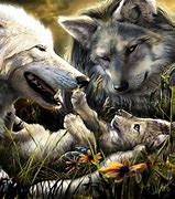 Image result for Beautiful Wolf Background
