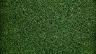 Image result for Grass Texture 1920X1080
