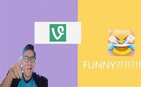 Image result for Funny Vine Pictures