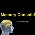 Image result for Trace Model of Memory