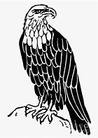 Image result for bald eagles line drawings drawings