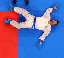 Image result for IG Karate Gold Medalist