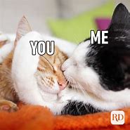 Image result for Cute Happy Cat Meme Love You