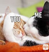Image result for Cat Saying I Love You Meme