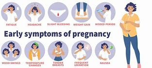 Image result for First Day Pregnancy Sign