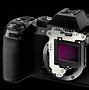 Image result for Fuji X-S10