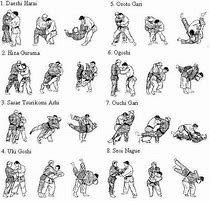 Image result for Martial Arts Chart