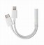 Image result for USB with iPhone Jack