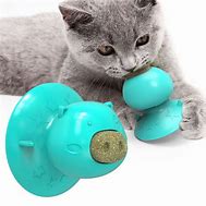 Image result for Catnip Toys