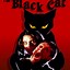 Image result for The Black Cat Movie