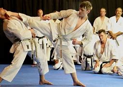 Image result for Shotokan Karate