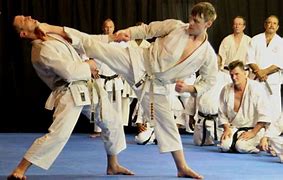 Image result for Shotokan