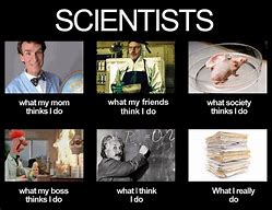 Image result for Social Scientist What People Think I Do