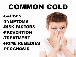 Image result for Common Cold