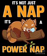 Image result for Red Panda Puns