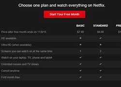 Image result for How Much Does Netflix Cost a Month