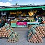 Image result for Local Fruits in the Philippines