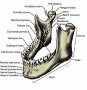 Image result for Where Is the Jawbone