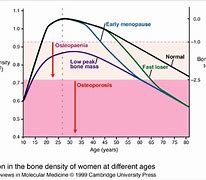 Image result for Bone Density Life Stage Graph