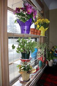 Image result for Garden Indoor Window