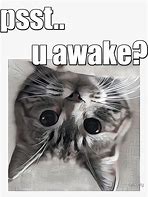 Image result for Are You Awake Meme