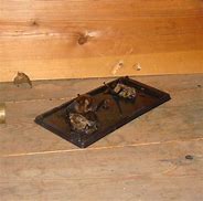 Image result for Bat Trapping