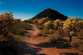 Image result for Arizona Desert Landscape Design