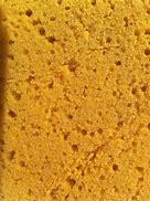 Image result for Textured Sponges