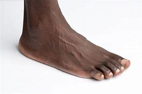 Image result for How Long Is 1 Foot