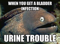 Image result for Urine Test Meme