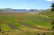web castelluccio di norcia parsec agricultura a castelluccio castelluccio di norcia web castelluccio di norcia parsec agricultura a castelluccio castelluccio di norcia