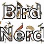 Image result for Bustard the Bird