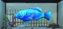 Image result for FFXIV Spectral Bass Fish