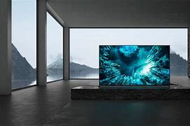 Image result for largest oled tv 2020