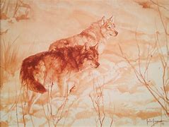Image result for Wolf Sketches