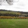 Image result for Tuck's Ridge Riesling