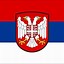 Image result for Serbian Despotate Flag