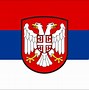 Image result for Mediveal Serbian Flag
