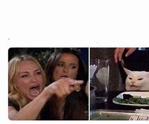 Image result for Cat Table Meme Empty