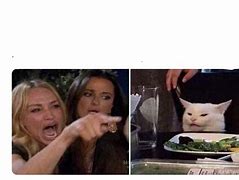 Image result for White Cat Meme Template