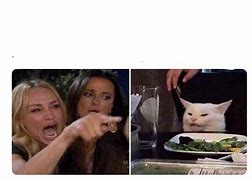 Image result for Cat at the Dinner Table Meme