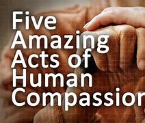 Image result for Human Compassion