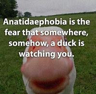 Image result for Phobia Memes