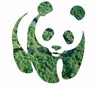 Image result for WWF Stencil