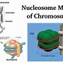 Image result for Nucleosome Structure
